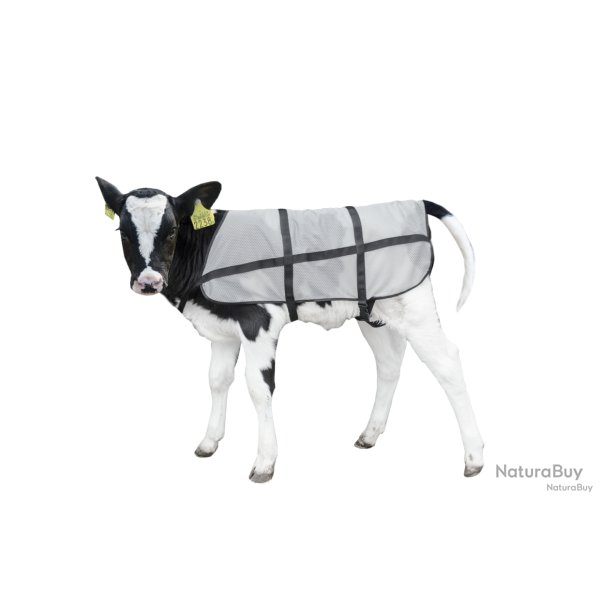 Bodyguard Calf - Ref BODY0600 - EAN 8716759537040 - Livraison rapide