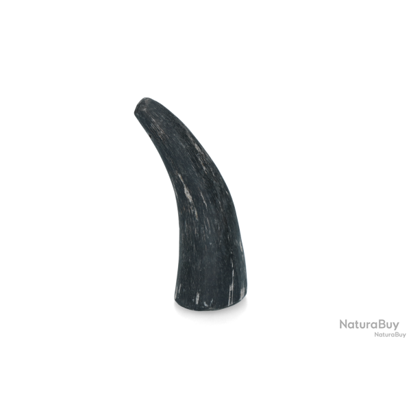 Viking Horn - Ref VIKI02 - EAN 8716759589025 - Livraison rapide