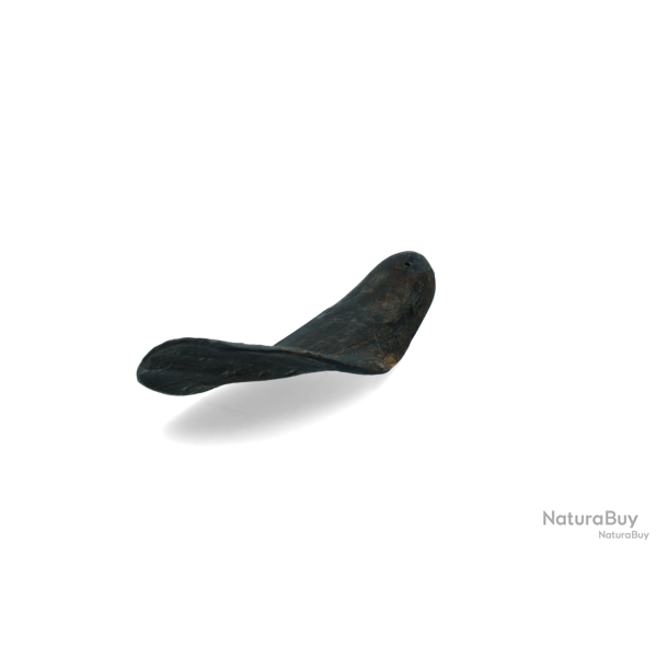 Viking Horn - Ref VIKI22 - EAN 8716759589087 - Livraison rapide