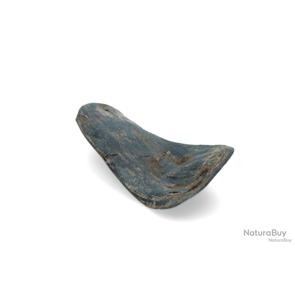 Viking Horn - Ref VIKI23 - EAN 8716759589094 - Livraison rapide