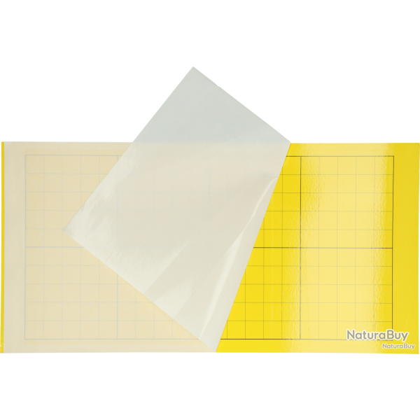 Insectron Glue Plate - Ref LIJM003 - EAN 8716759565982 - Livraison rapide
