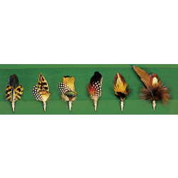 Plumes de chapeau - Ref 30412-72 - Habillement chasse et tradition