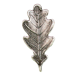 C&ocirc;ne pour poils - Ref 30419-04 - Habillement chasse et tradition