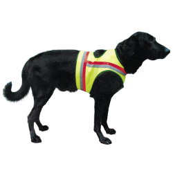 Gilet de protection pour chiens - Ref 35163-05 - &Eacute;quipement chien de chasse
