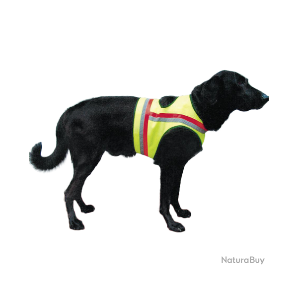 Gilet de protection pour chiens - Ref 35163-05 - �quipement chien de chasse