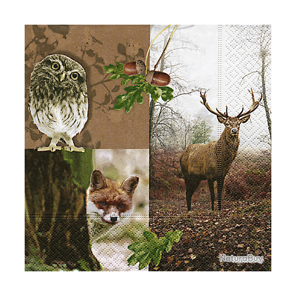 Serviettes en papier - Ref 19200-17 - Cadeau th�me chasse
