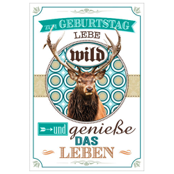 Carte d'anniversaire - Ref 32501-13 - Cadeau th&egrave;me chasse