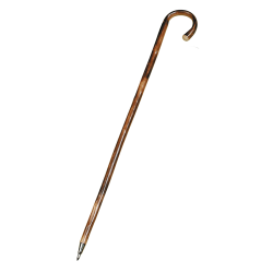 Canne pour homme - Ref 34301-13 - Am&eacute;nagement territoire chasse
