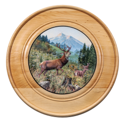 Cible d&eacute;corative et d'honneur - Ref 34363-01 - &Eacute;quipement tir sportif