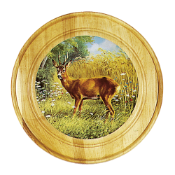 Cible d&eacute;corative et d'honneur - Ref 34363-02 - &Eacute;quipement tir sportif