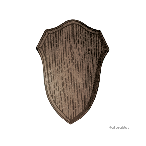 �cussons en bois de ch�ne pour troph�es de chevreuil - Ref 00500-01 - Pr�paration troph�e pro