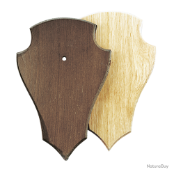 &Eacute;cussons en bois de ch&ecirc;ne pour troph&eacute;es de chevreuil - Ref 00505-01 - Pr&eacute;paration troph&eacute;e pro