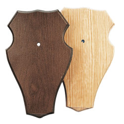 &Eacute;cussons en bois de ch&ecirc;ne pour troph&eacute;es de chevreuil - Ref 00511-01 - Pr&eacute;paration troph&eacute;e pro