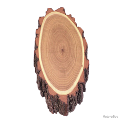 Plaques en bois d'acacia pour troph&eacute;es de chevreuil - Ref 00535-01 - Pr&eacute;paration troph&eacute;e pro