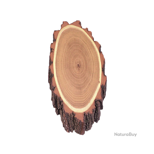 Plaques en bois d'acacia pour troph�es de chevreuil - Ref 00535-01 - Pr�paration troph�e pro