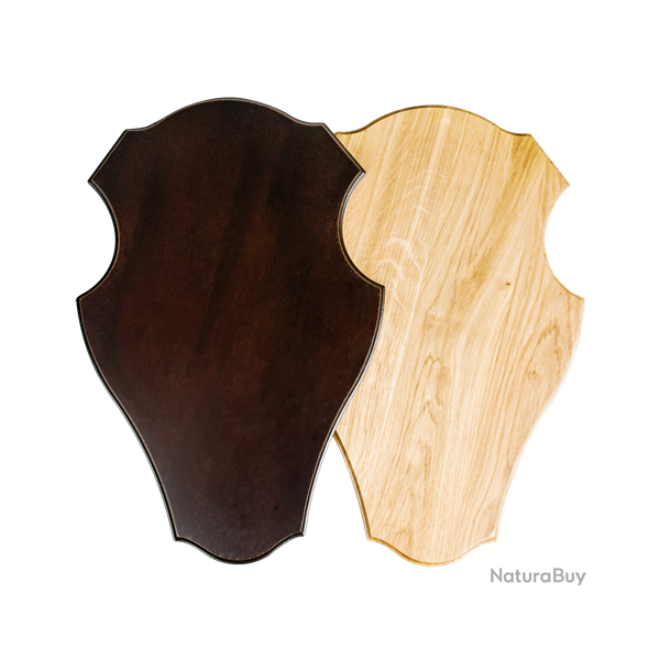 �cussons en bois de ch�ne pour troph�es d'�lan - Ref 01512-46 - Pr�paration troph�e pro