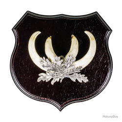 &Eacute;cussons pour d&eacute;fenses de sanglier, ch&ecirc;ne - Ref 01216-13 - Pr&eacute;paration troph&eacute;e pro