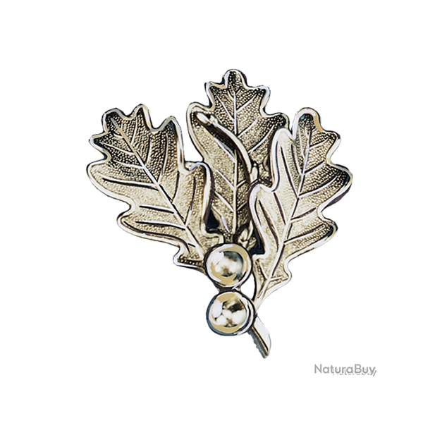 Lourde feuille massive de pr�sentation de d�fenses de sanglier - Ref 33326-01 - Pr�paration troph�e