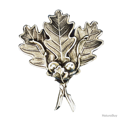 Lourde feuille massive de pr&eacute;sentation de d&eacute;fenses de sanglier - Ref 33326-02 - Pr&eacute;paration troph&eacute;e