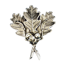 Lourde feuille massive de pr&eacute;sentation de d&eacute;fenses de sanglier - Ref 33326-02