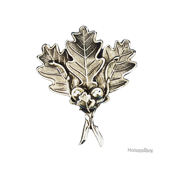 Lourde feuille massive de pr�sentation de d�fenses de sanglier - Ref 33326-02 - Pr�paration troph�e
