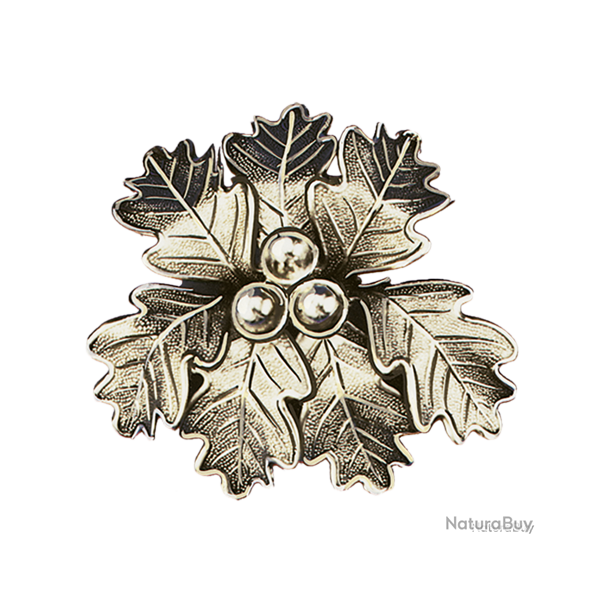 Lourde feuille massive de pr�sentation de d�fenses de sanglier - Ref 33326-03 - Pr�paration troph�e