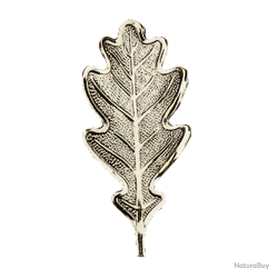 Lourde feuille massive de pr&eacute;sentation de d&eacute;fenses de sanglier - Ref 33326-06 - Pr&eacute;paration troph&eacute;e