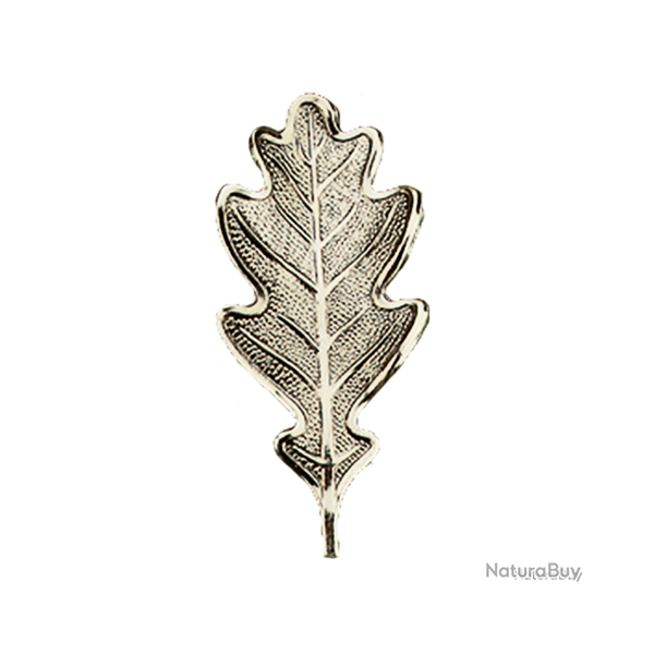Lourde feuille massive de pr�sentation de d�fenses de sanglier - Ref 33326-06 - Pr�paration troph�e