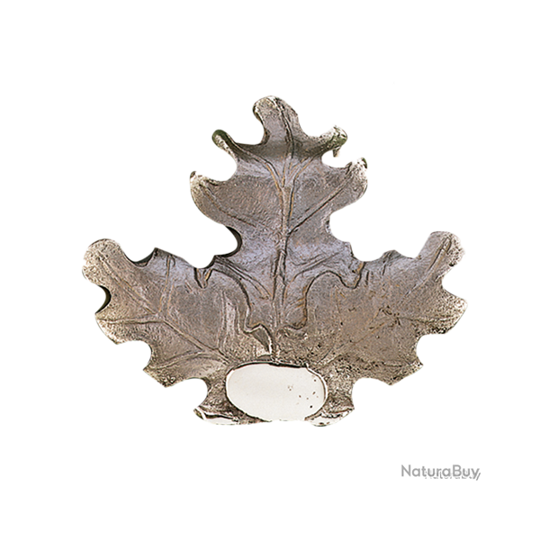 Lourde feuille massive de pr�sentation de d�fenses de sanglier - Ref 33326-07 - Pr�paration troph�e