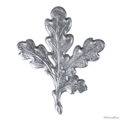 Feuille de pr&eacute;sentation de d&eacute;fenses de sanglier - Ref 33326-05 - Pr&eacute;paration troph&eacute;e pro
