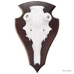 Cr&acirc;ne en aluminium de cerf &eacute;laphe - Ref 33390-35 - Pr&eacute;paration troph&eacute;e pro