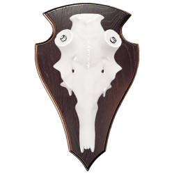 Cr&acirc;ne en aluminium de cerf &eacute;laphe - Ref 33390-35 - Pr&eacute;paration troph&eacute;e pro
