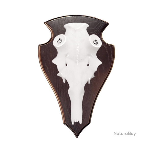 Cr�ne en aluminium de cerf �laphe - Ref 33390-35 - Pr�paration troph�e pro