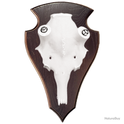 Cr&acirc;ne en aluminium de daim - Ref 33391-25 - Pr&eacute;paration troph&eacute;e pro