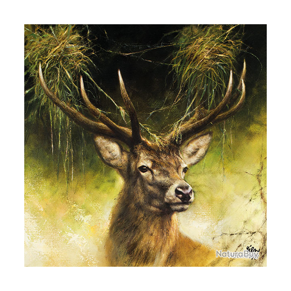 Serviettes en papier - Ref 19200-22 - Cadeau th�me chasse