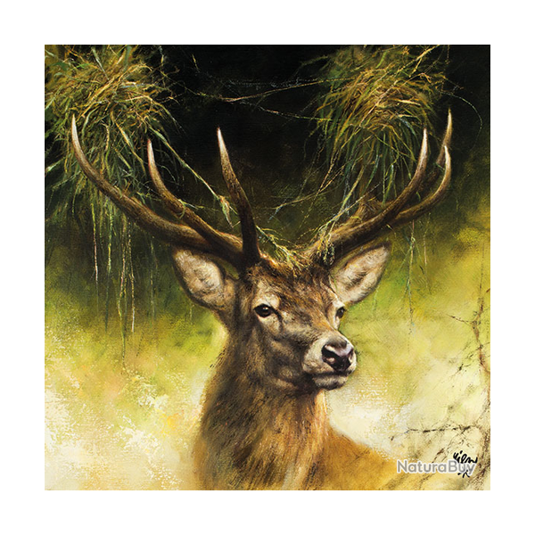 Serviettes en papier - Ref 19200-22 - Cadeau th�me chasse