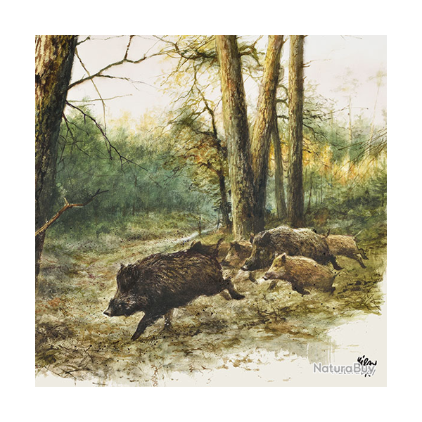 Serviettes en papier - Ref 19200-23 - Cadeau th�me chasse