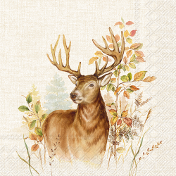 Serviettes en papier - Ref 19200-33 - Cadeau th&egrave;me chasse