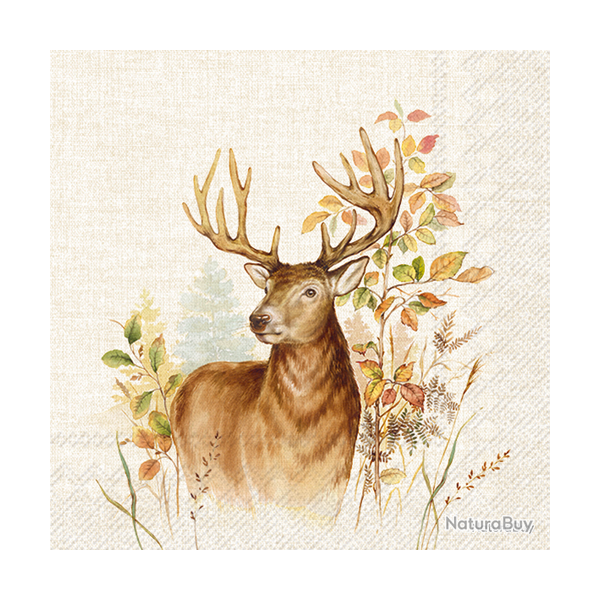 Serviettes en papier - Ref 19200-33 - Cadeau th�me chasse