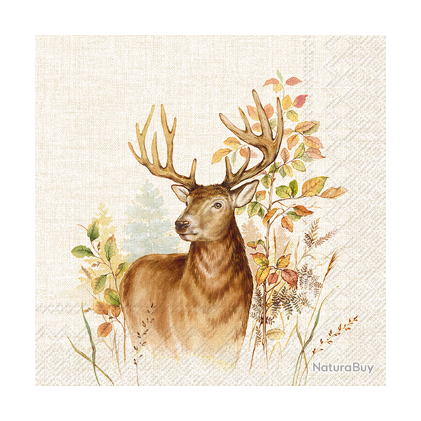 Serviettes en papier - Ref 19200-33 - Cadeau th�me chasse