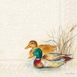 Serviettes en papier - Ref 19200-35 - Cadeau th&egrave;me chasse