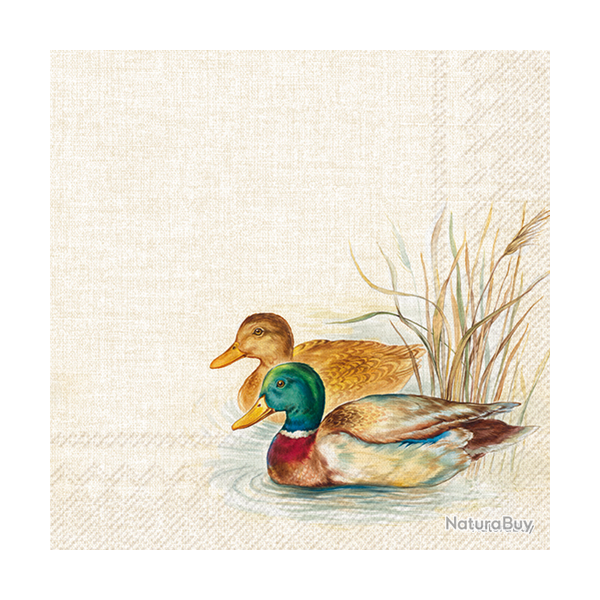 Serviettes en papier - Ref 19200-35 - Cadeau th�me chasse