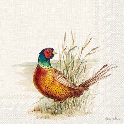 Serviettes en papier - Ref 19200-36 - Cadeau th&egrave;me chasse