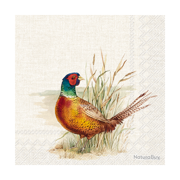 Serviettes en papier - Ref 19200-36 - Cadeau th�me chasse