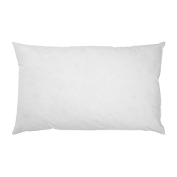 Coussin de Garnissage en Plumes 40 x 60 cm - Ref 26103-82 - Cadeau th&egrave;me chasse