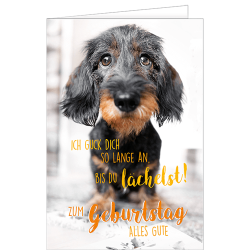 Carte d'anniversaire teckel - Ref 32501-44 - Cadeau th&egrave;me chasse