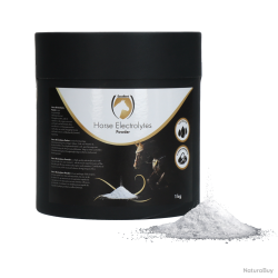 Excellent Horse Electrolytes Powder - Ref SRHO010021E - EAN 8716759601345 - Livraison rapide