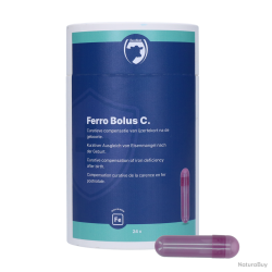 Excellent Ferro Bolus C - Ref BREH00003 - EAN 8716759503755 - Livraison rapide