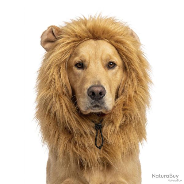 Oranje WK Manen Tooi - Ref ORAN0011L - EAN 8716759660878 - Hofman Animal Care