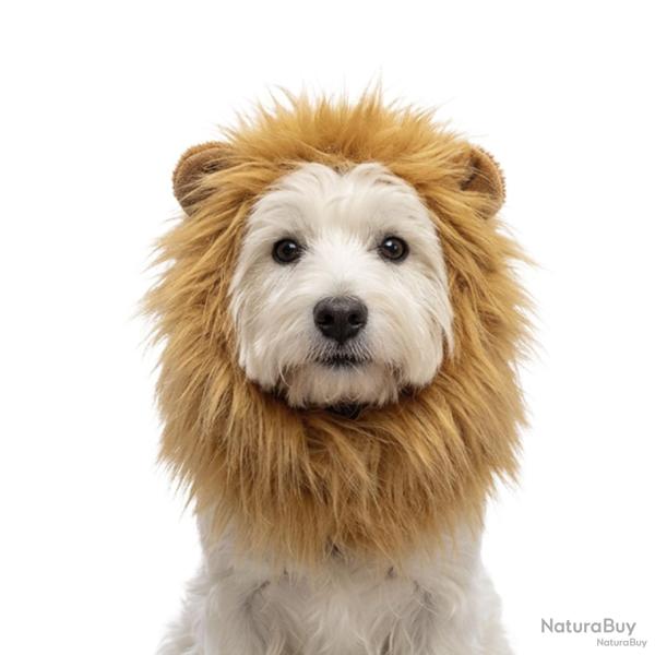 Oranje WK Manen Tooi - Ref ORAN0011M - EAN 8716759660861 - Hofman Animal Care